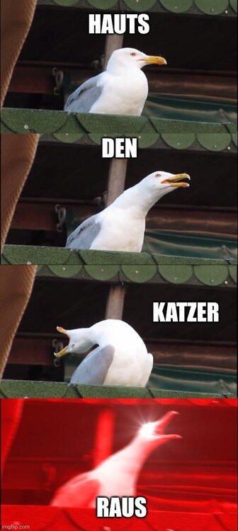 b0gbnt.jpg