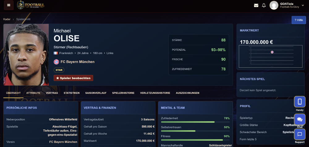 spielerprofil.png