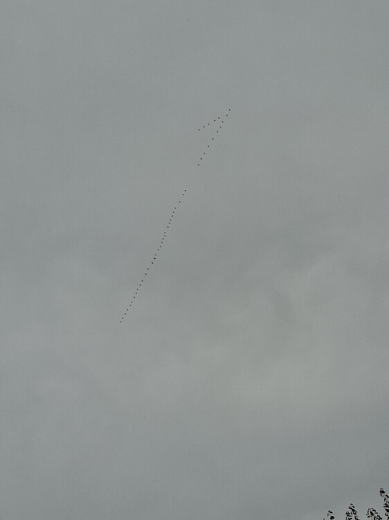 20261017_140643.jpg