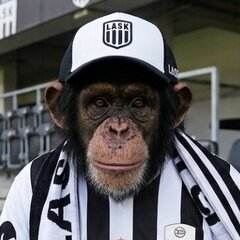 monkeyspeaker