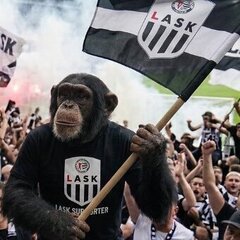 monkeyspeaker