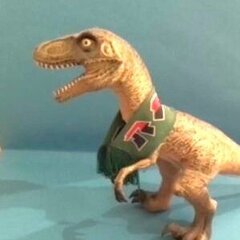 Raptorlausa