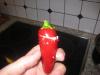 post-1-1255109759_thumb.jpg