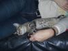 post-11672-1205920669_thumb.jpg