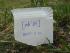 post-2481-1152809061_thumb.jpg
