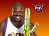 post-3188-1202770923_thumb.jpg