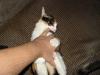 post-5768-1189173755_thumb.jpg