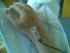 post-5777-1161950805_thumb.jpg