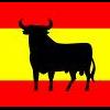 Raul Madrid7